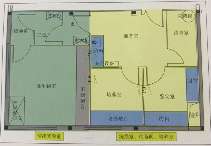 微生物實(shí)驗(yàn)室平面布置圖.png